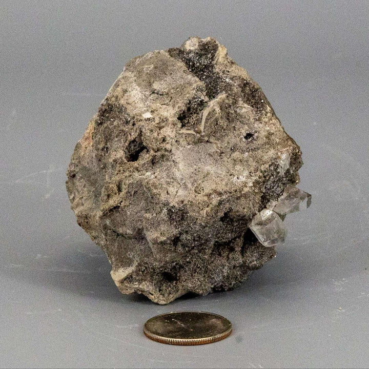 Herkimer Diamond in Matrix Host Rock 3: 3 clear, double-terminated quartz crystals embedded in a gray dolostone matrix.