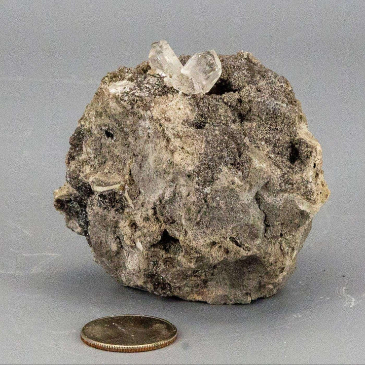 Herkimer Diamond in Matrix Host Rock 3: 3 clear, double-terminated quartz crystals embedded in a gray dolostone matrix.