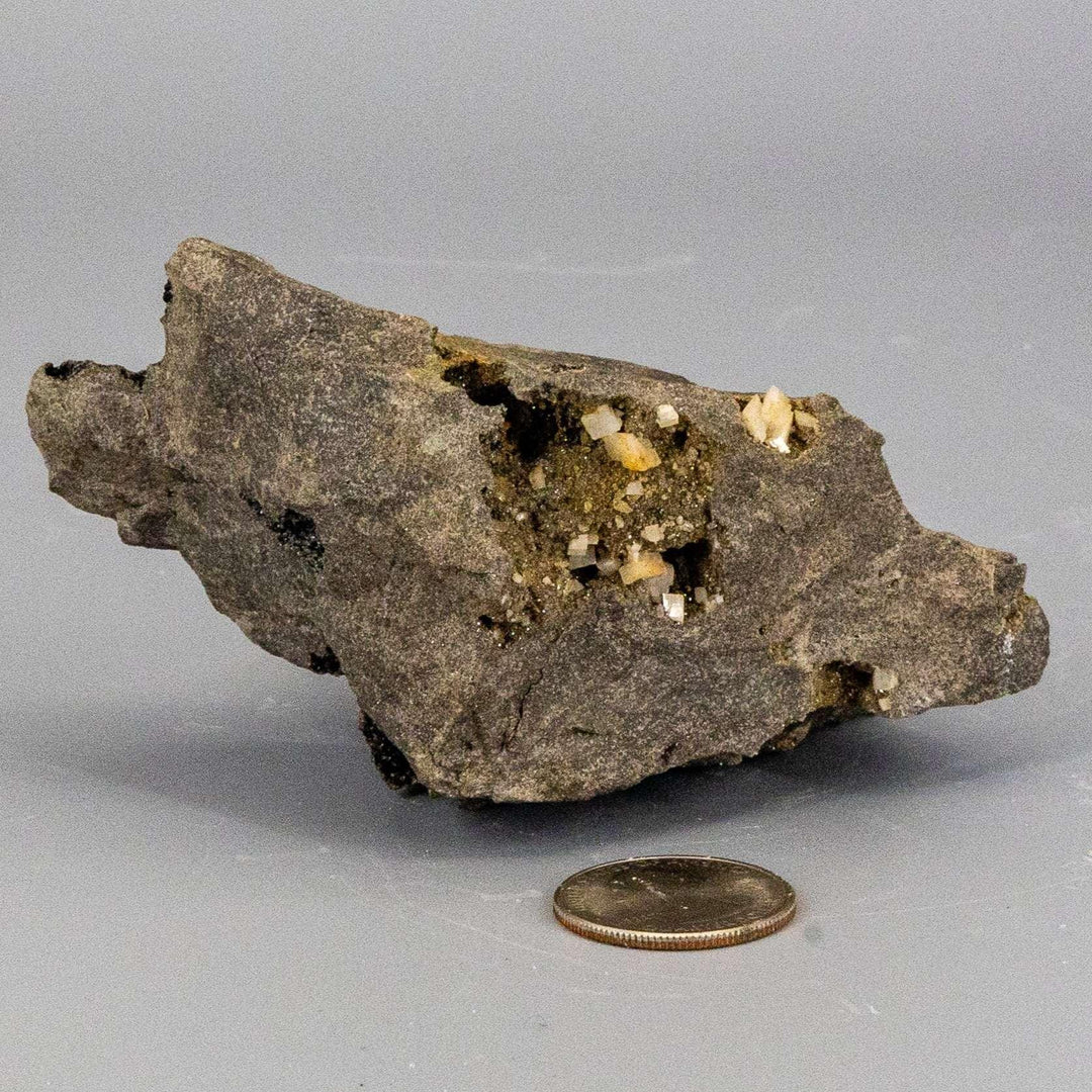 Herkimer Diamond in Matrix Host Rock 3+ with clear, double-terminated quartz crystals and baby calcite formations.