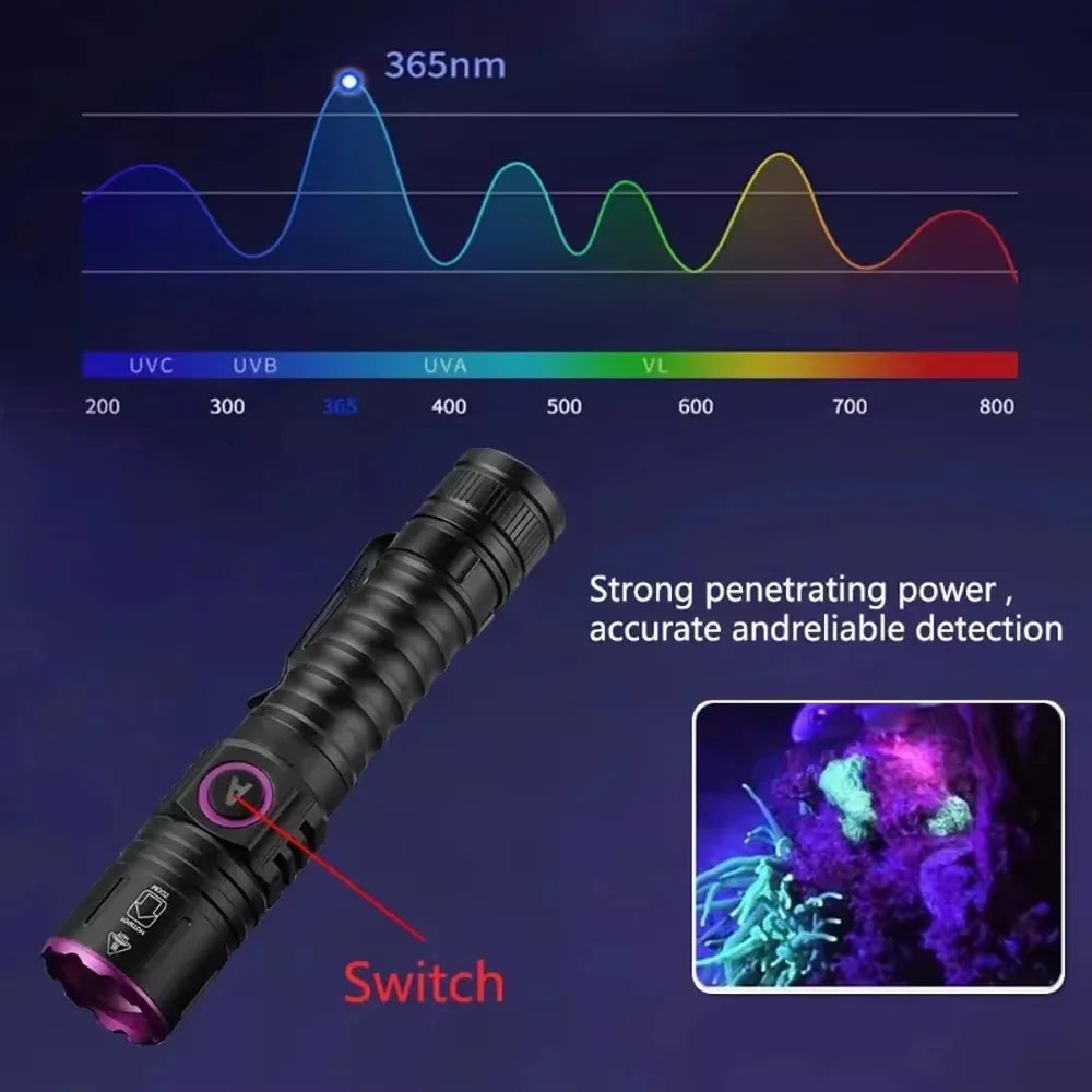 High Power 365nm UV Flashlight, Rechargeable