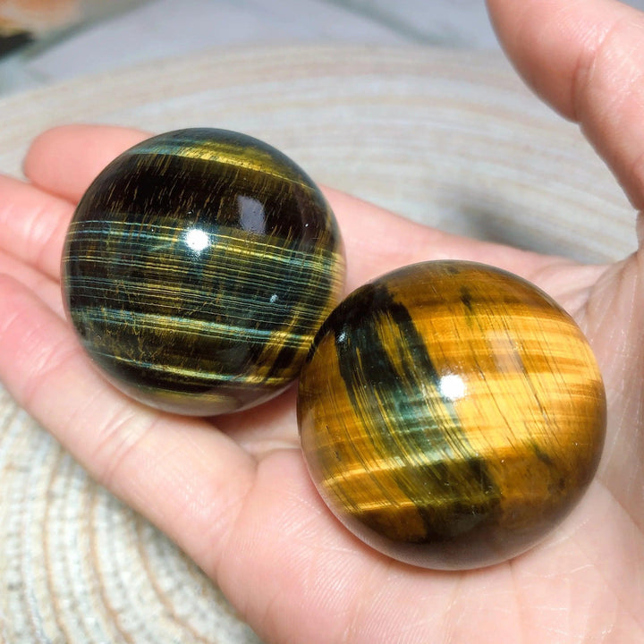 Two polished Blue and Yellow Tiger Eye crystal spheres featuring flashy, natural mineral energy for healing and decor.