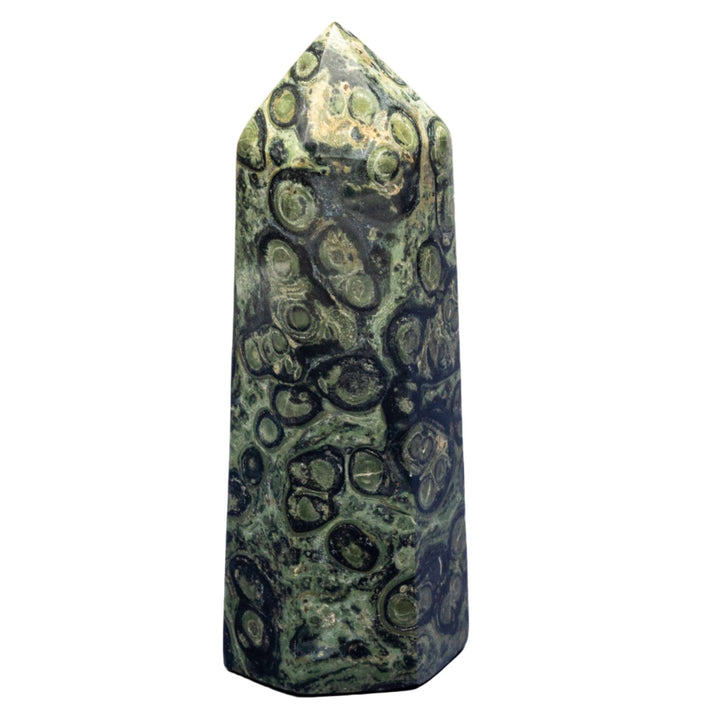 Kambaba Jasper Tower-Towers-Crystal Destiny-Kambaba Jasper-406g - 5.25"H-Crystal Destiny