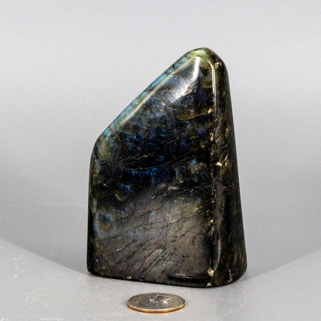 Flashy Shimmering Labradorite Freeform Crystal, a dark gray gemstone with electric blue, teal, and gold flashes.