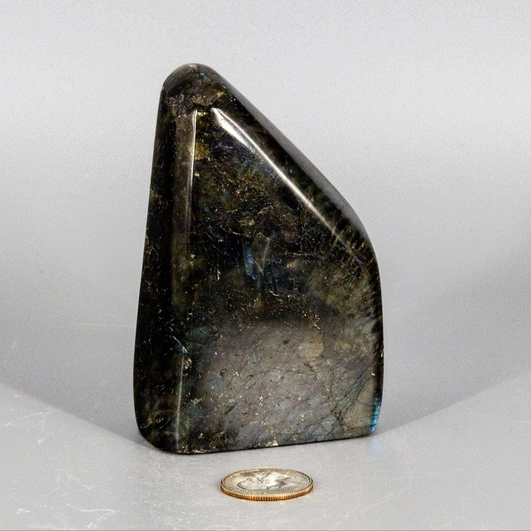 Flashy, shimmering Labradorite Freeform Crystal, a substantial dark gray gemstone with electric blue, teal, and gold flashes.