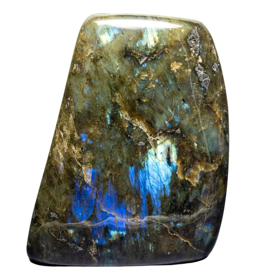 Labradorite Huge Polished Freeform, displaying iridescent flashes of deep midnight blue, electric teal, and gold.