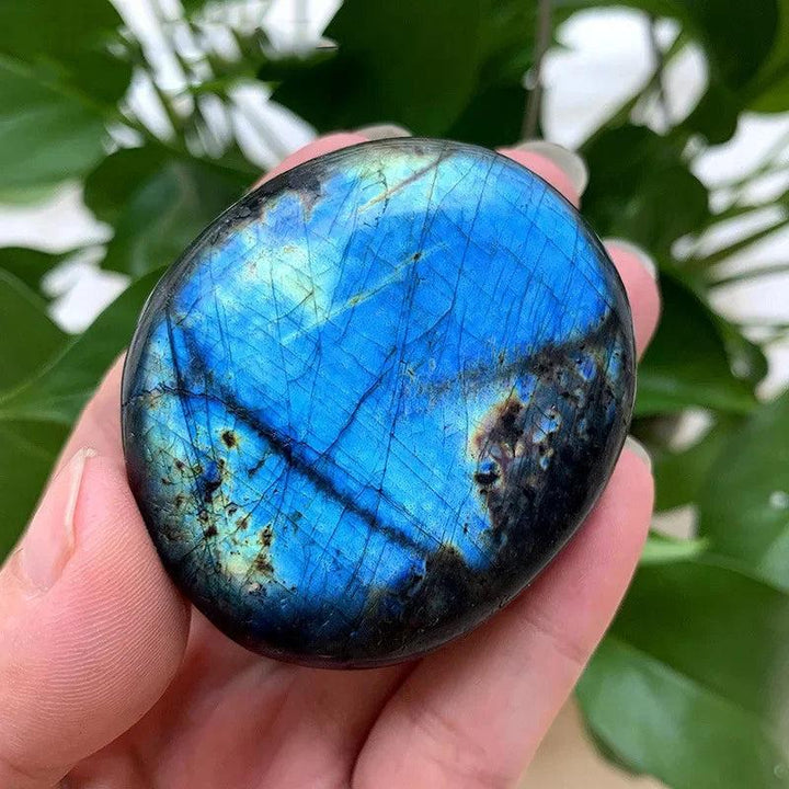 Polished blue labradorite palm stone with vibrant flashes of gold and iridescent blue light.
