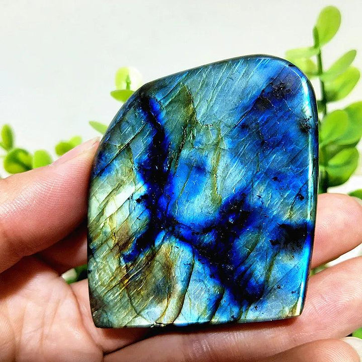 Polished Labradorite freeform with vibrant blue and gold labradorescence for intuition and protective energy.