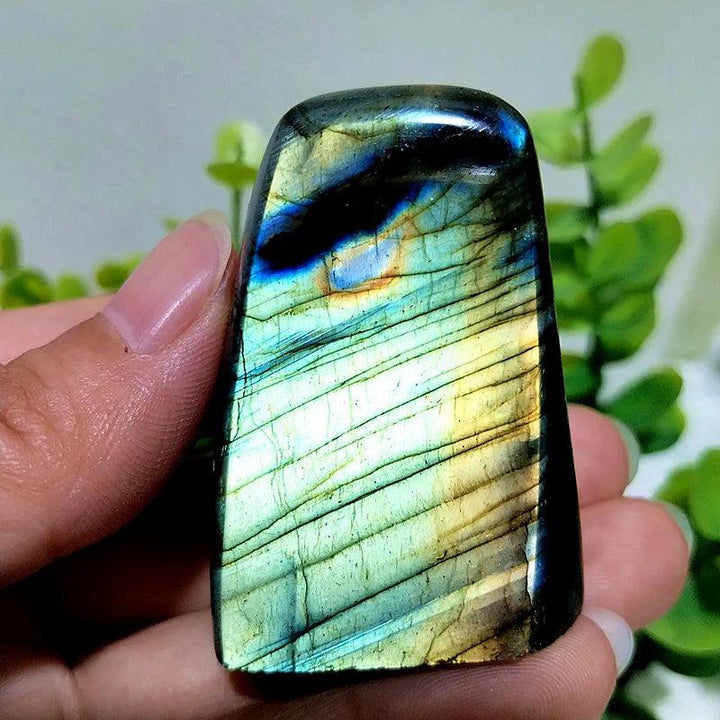 Polished Labradorite crystal freeform displaying vibrant blue and gold labradorescence for intuition and protection.