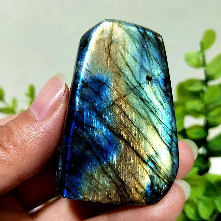 Polished Labradorite crystal freeform with vibrant blue and gold labradorescence for intuition and transformation.