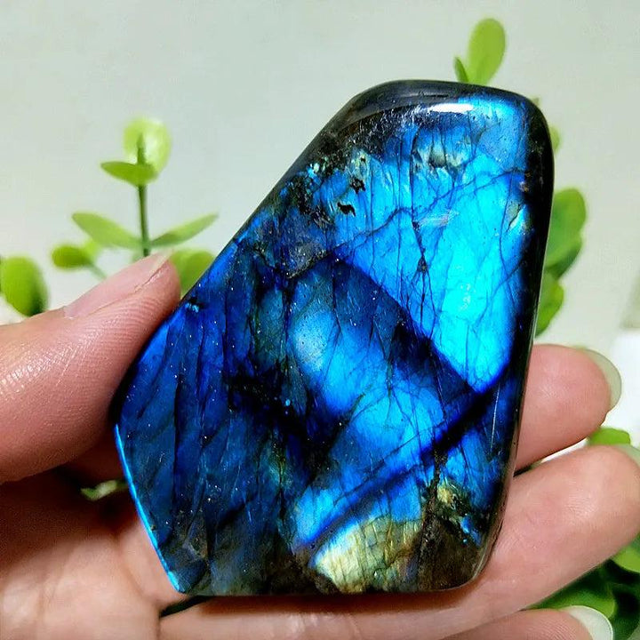 Polished Labradorite freeform crystal with vibrant blue labradorescence for intuition and psychic protection.