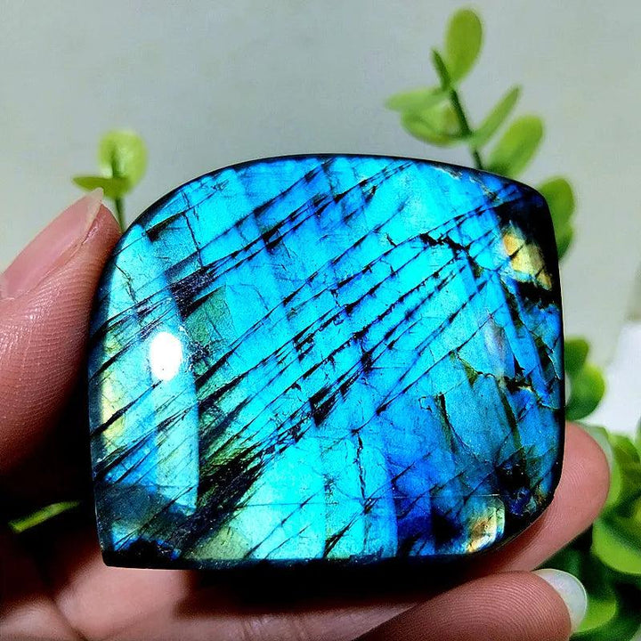 Polished Labradorite freeform with vibrant blue and gold labradorescence for intuition and psychic protection.