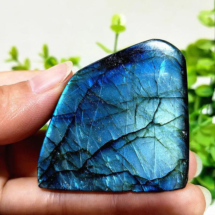 Polished Labradorite crystal freeform with vibrant blue labradorescence for intuition, protection, and transformation.
