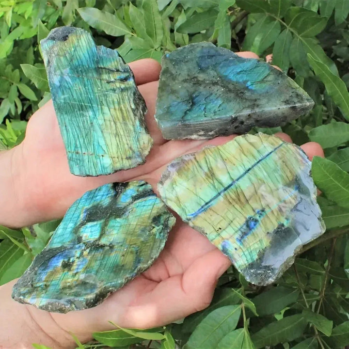 Natural Labradorite crystal rough slices featuring vibrant blue, green, and gold flashes for intuition and energy work.