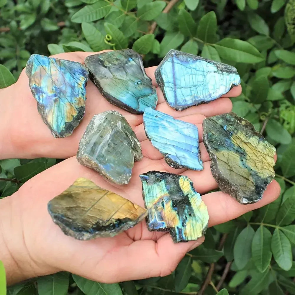 Natural Labradorite crystal rough slices featuring vibrant blue, green, and gold flash for intuition and energy work.