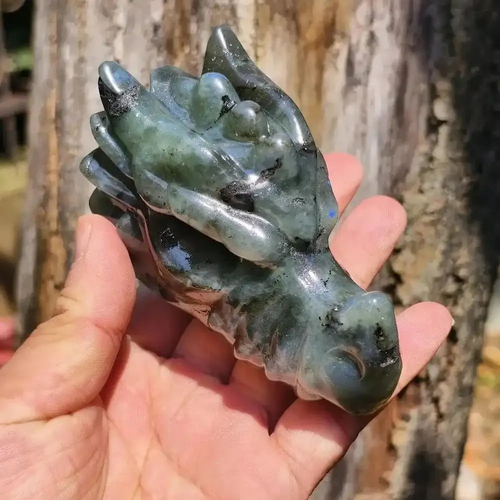 Labradorite Dragon Skull Statue Crystal Carving