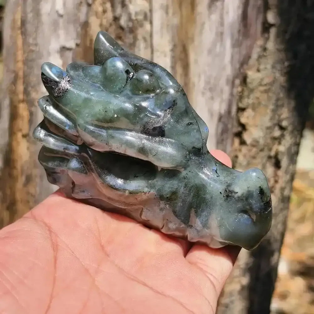 Labradorite Dragon Skull Statue Crystal Carving