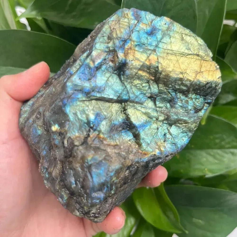 Raw Labradorite Rough Crystal: Natural, unpolished stone with vibrant blue, green, and gold labradorescence, held in hand.
