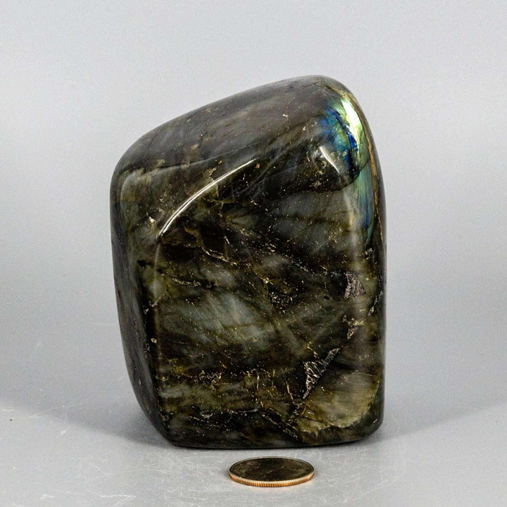 Labradorite XL High Flash Freeform, 1028g, with electric blue, green, gold flash from Crystal Destiny.
