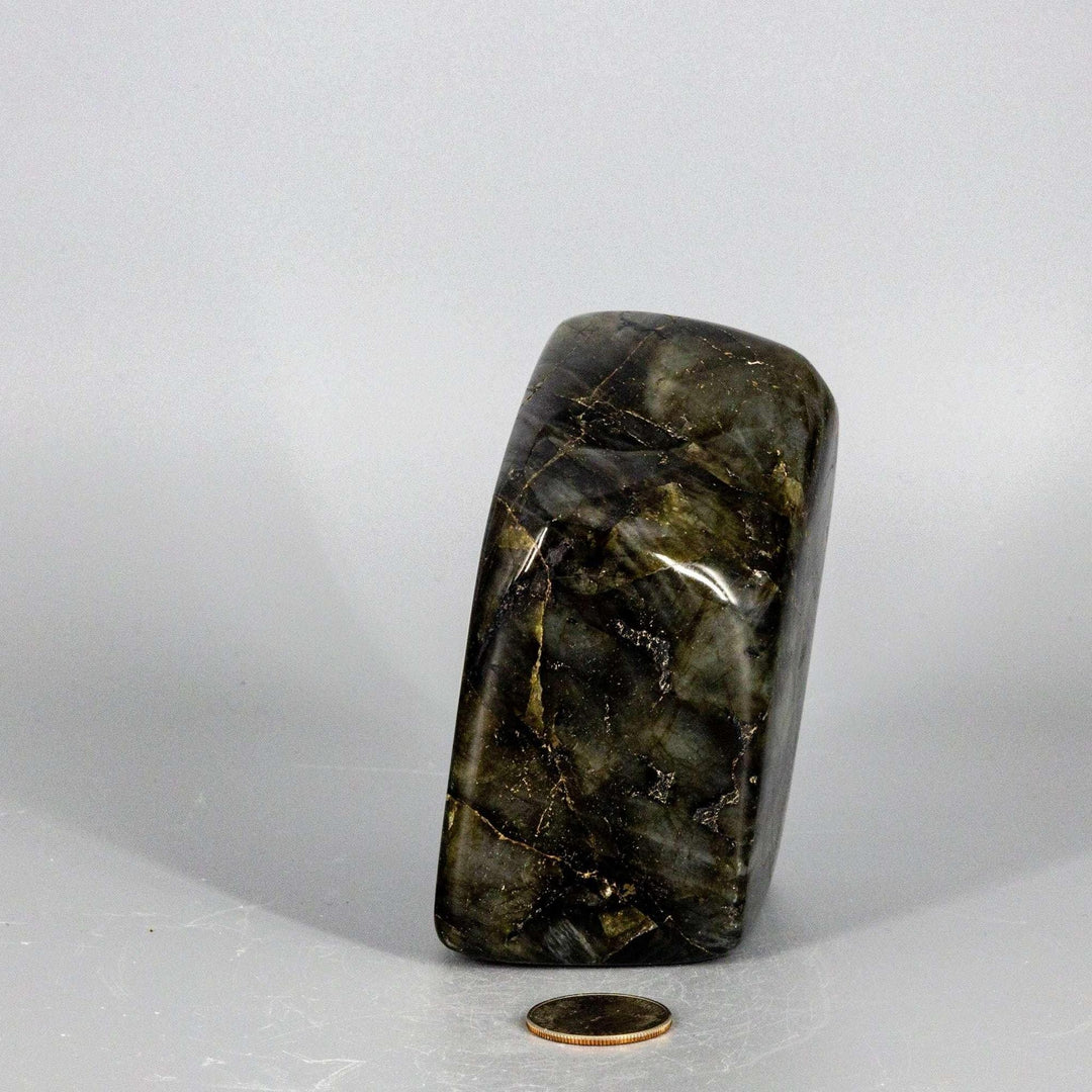 Crystal Destiny's XL Labradorite freeform, dark with electric blue, green, and gold high flash, next to a coin.