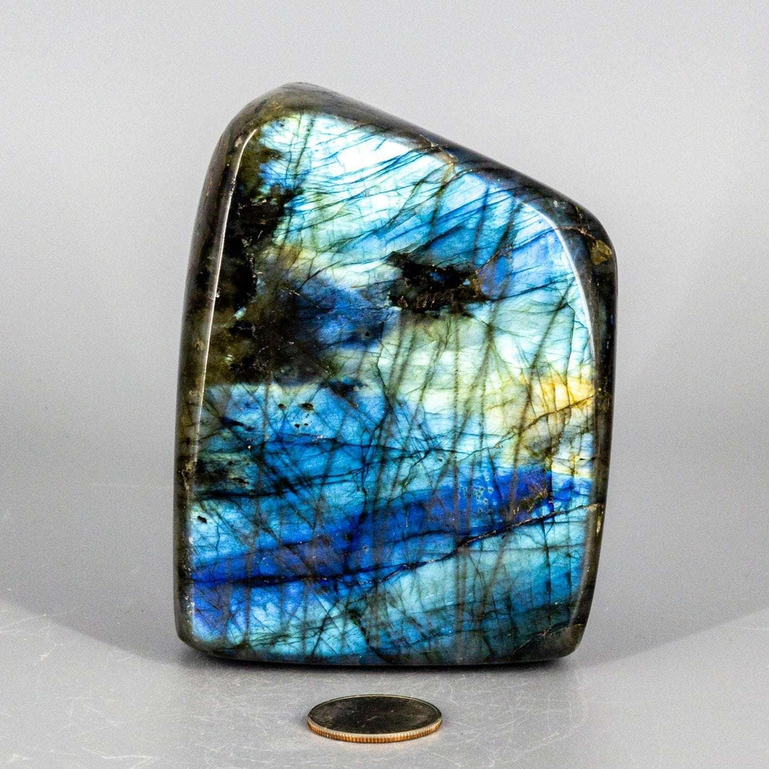 Labradorite XL High Flash Freeform from Crystal Destiny, showcasing vibrant blue, green, and gold labradorescence.