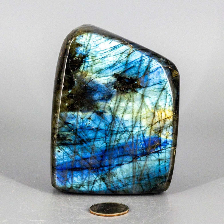 Labradorite XL High Flash Freeform from Crystal Destiny, showcasing vibrant blue, green, and gold labradorescence.