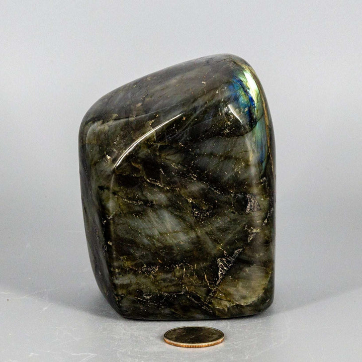 Labradorite "XL" High Flash Freeform-Freeforms-Crystal Destiny-Labradorite-1028g - 4.25"H x 3.00"W x 2.00"D-Crystal Destiny