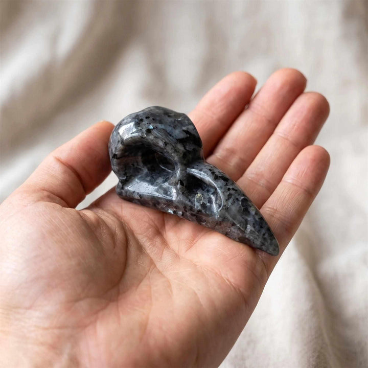 Hand-carved 100mm Larvikite raven skull with dark gray stone and shimmering blue flashes for grounding and intuition.
