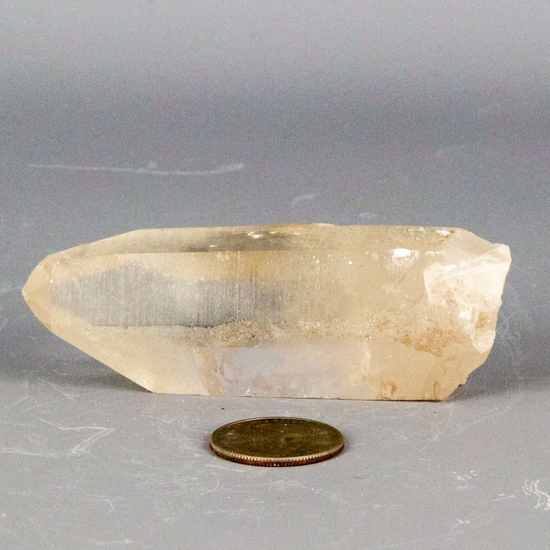 Lemurian Seed Quartz Point-Points-Crystal Destiny-Lemurian Quartz-130g - 3.50"L x 1.00"W-Crystal Destiny