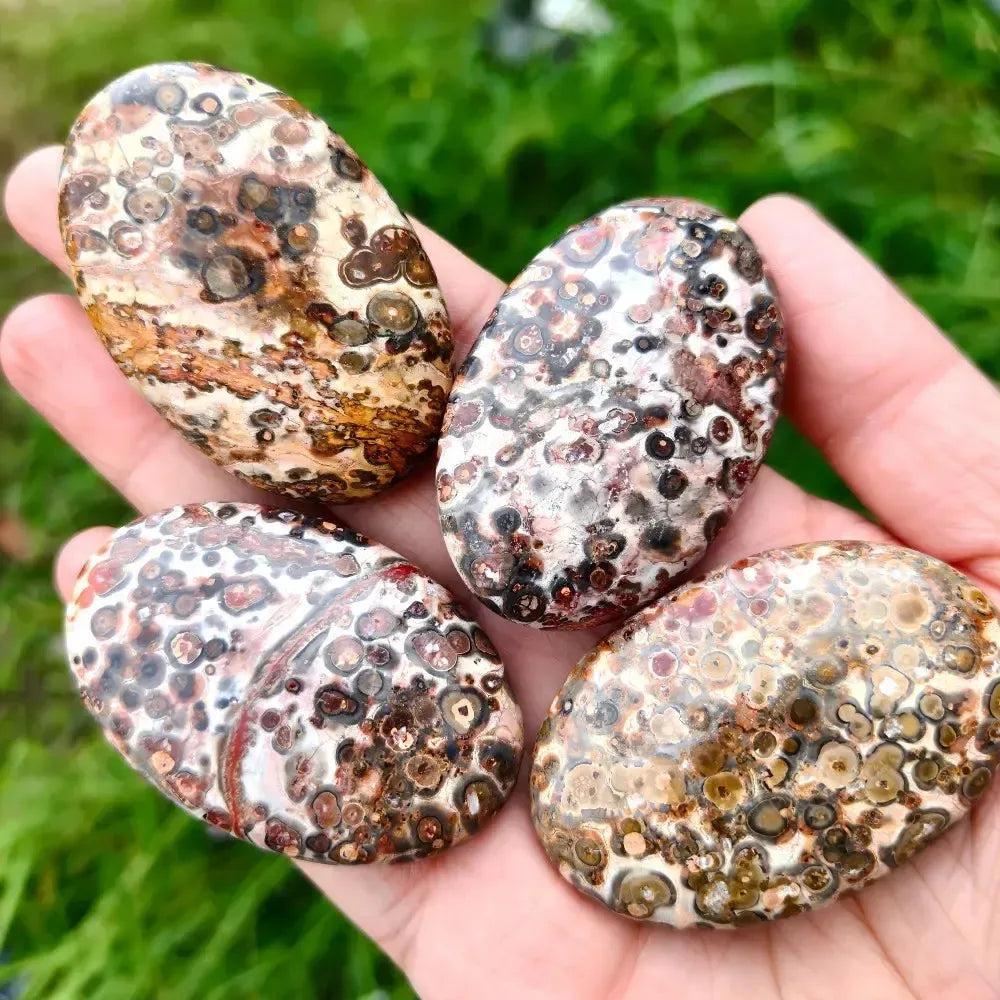 Four polished Leopard Skin Jasper palm stones by Crystal Destiny, featuring unique spotted patterns in earth tones.