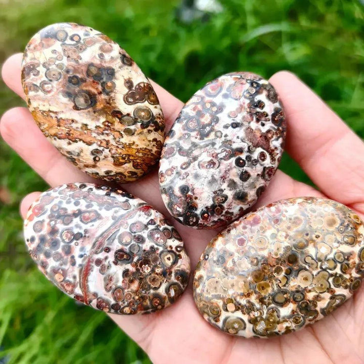 Four polished Leopard Skin Jasper palm stones by Crystal Destiny, featuring unique spotted patterns in earth tones.