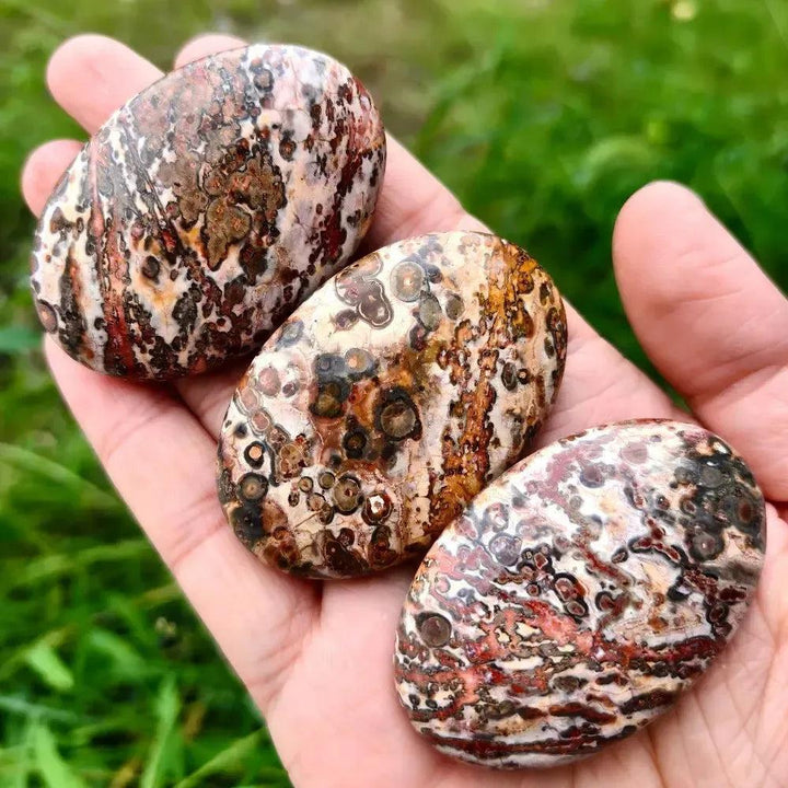 Three polished Leopard Skin Jasper palm stones in earth tones, held in a hand by Crystal Destiny.