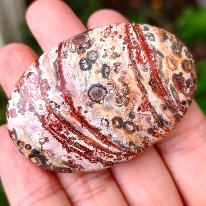 Leopard Skin Jasper palm stone by Crystal Destiny, featuring red, black, gold, and pink spotted patterns.
