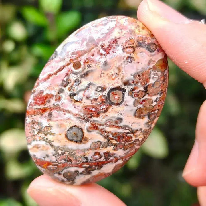 Leopard Skin Jasper Palm Stone with striking red, black, gold, and pink spotted patterns, held between fingers.