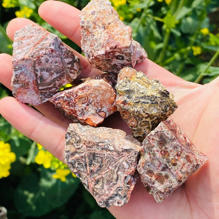 Leopard Skin Jasper Raw Stone