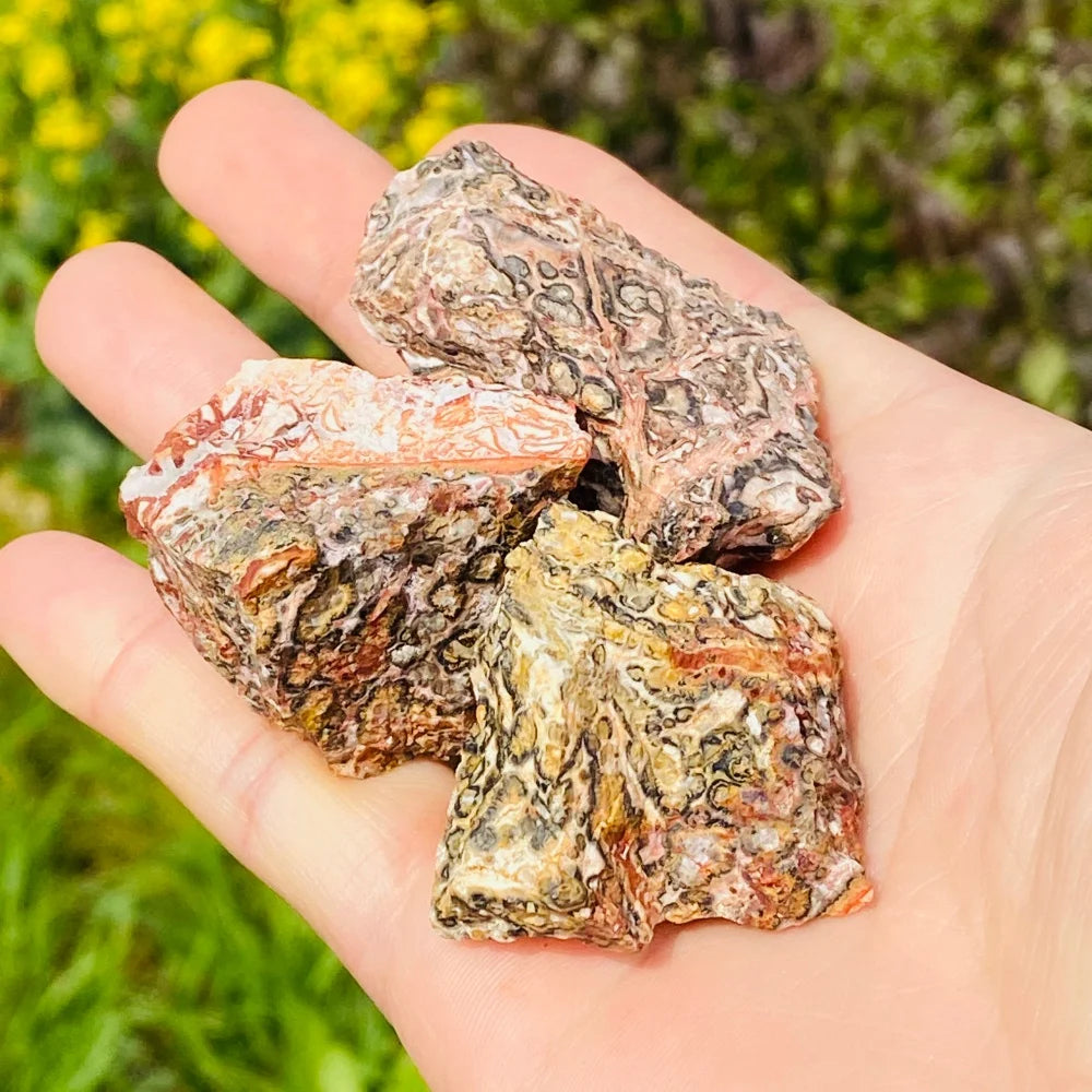 Leopard Skin Jasper Raw Stone