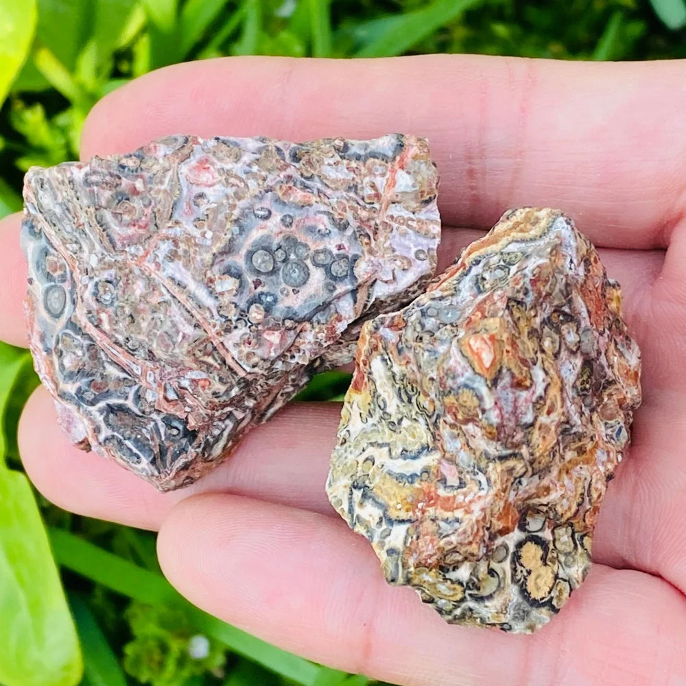 Leopard Skin Jasper Raw Stone