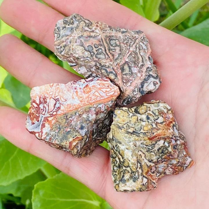 Leopard Skin Jasper Raw Stone