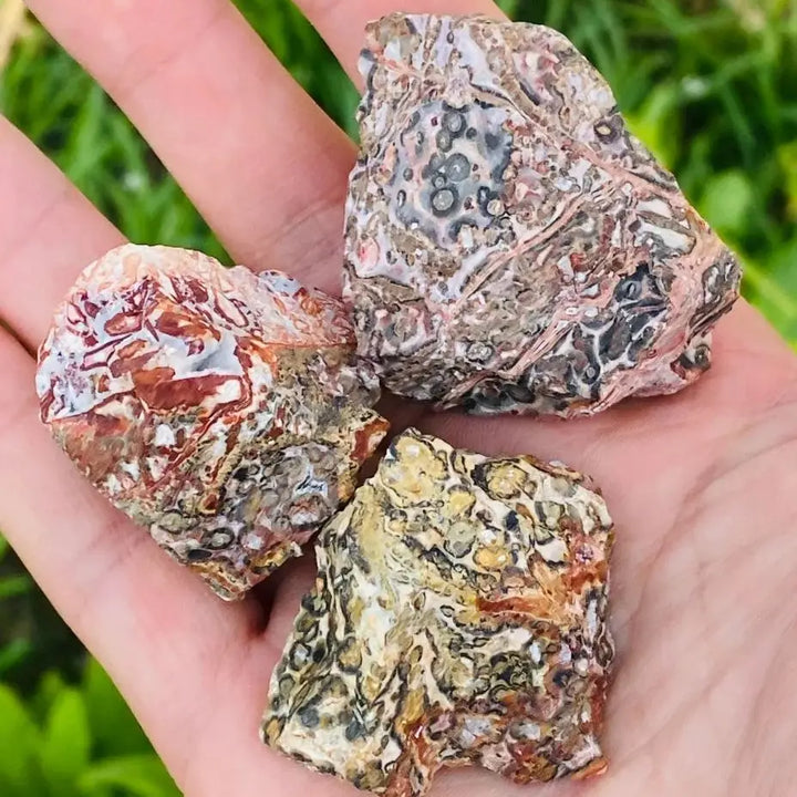 Leopard Skin Jasper Raw Stone