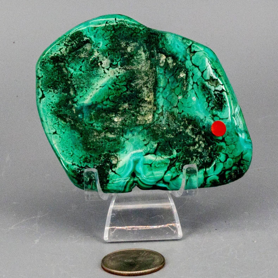 Polished Malachite Freeform Crystal, rich banded green with swirling eyes, perfect for Heart & Third Eye Chakras.