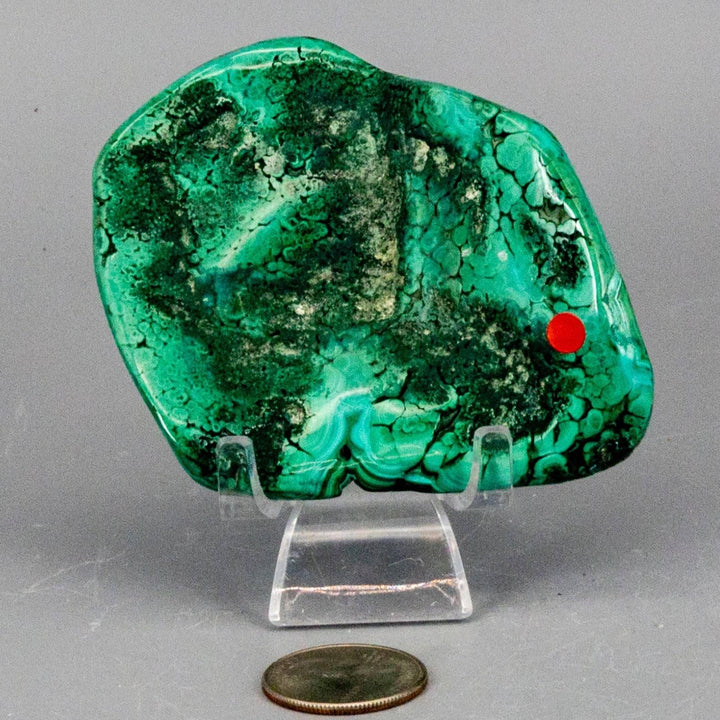 Polished Malachite Freeform Crystal, rich banded green with swirling eyes, perfect for Heart & Third Eye Chakras.