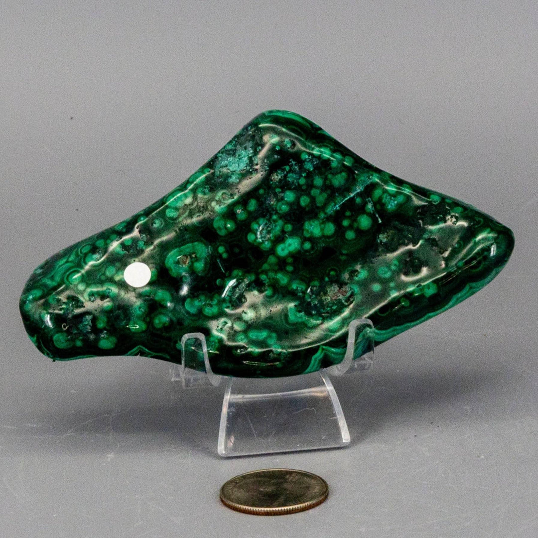 Polished Malachite Freeform Crystal, rich banded green with swirling eyes, displayed on a stand with a coin for scale.