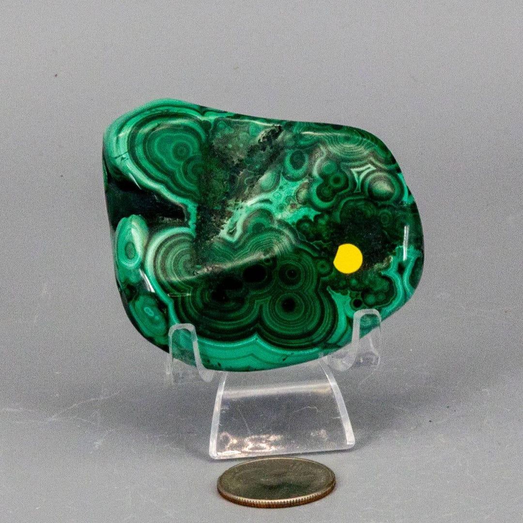 Polished Malachite Freeform Crystal with rich banded green, concentric rings, and swirling eye patterns, displayed on a stand.