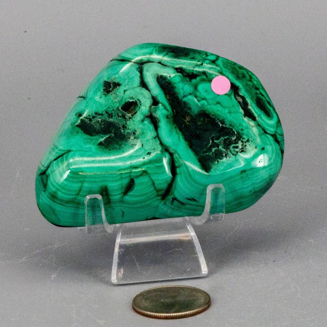 Polished Malachite Freeform Crystal, rich banded green with swirling eyes, enhancing Heart and Third Eye Chakras.
