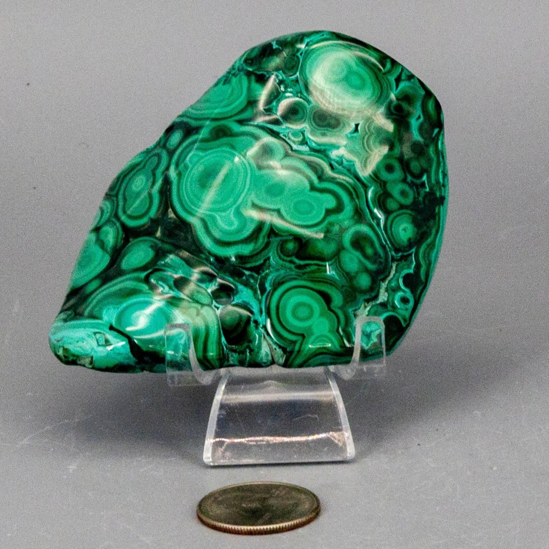 Polished Malachite Freeform Crystal, rich banded green with swirling eyes, perfect for Heart & Third Eye Chakras.