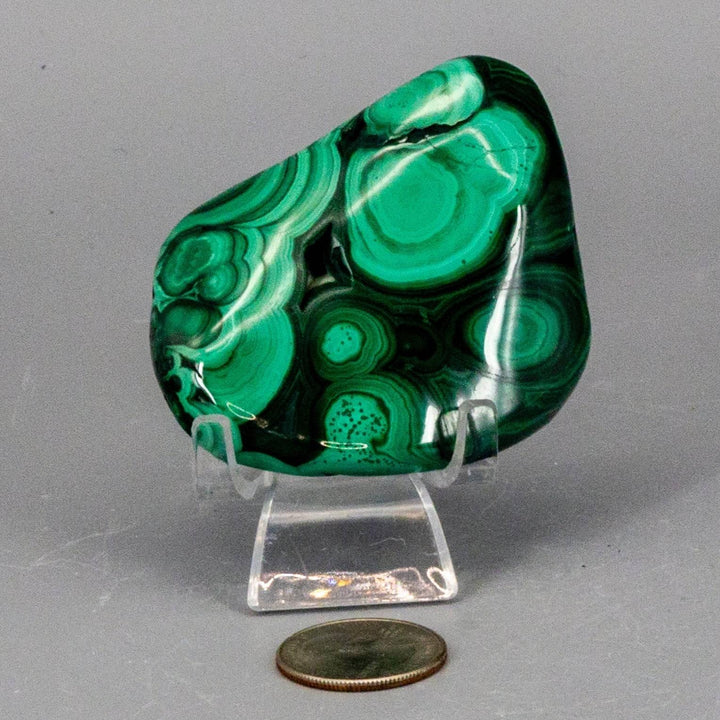 Polished Malachite Freeform Crystal, rich banded green with swirling eye patterns, promoting Heart & Third Eye Chakra healing.