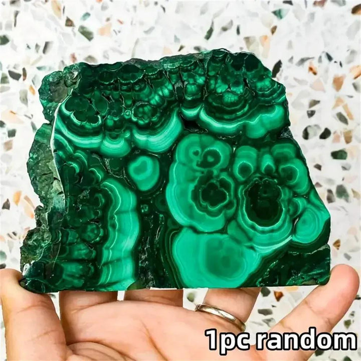 Malachite Crystal Polished Slice from Crystal Destiny, showcasing deep forest green concentric rings and eye patterns.