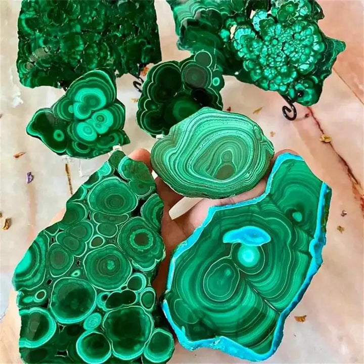 Crystal Destiny Malachite polished slices with vibrant green concentric rings, eye patterns, and natural banding.