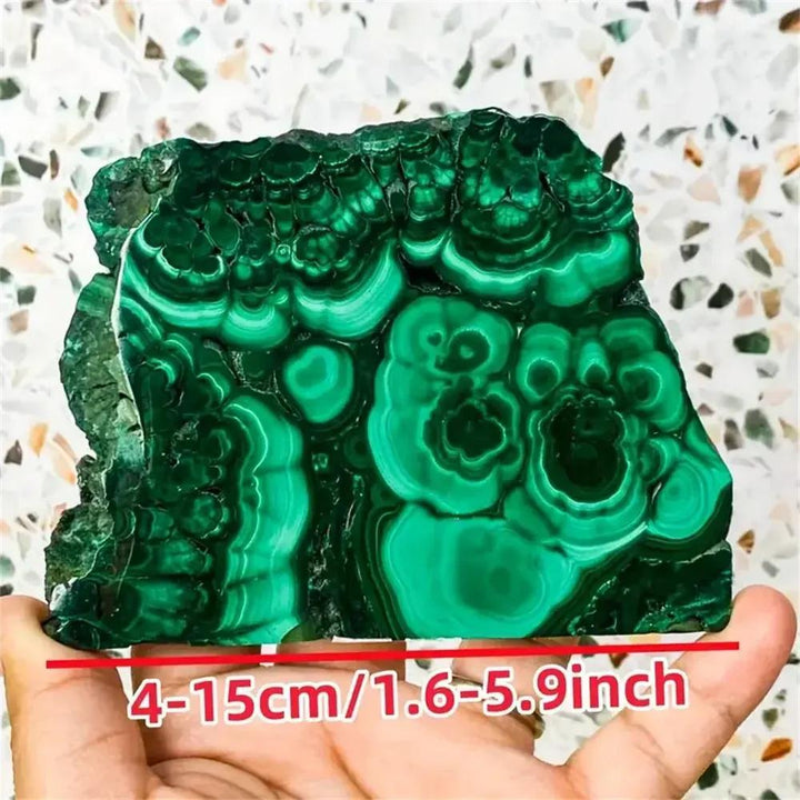 Malachite Crystal Polished Slice from Crystal Destiny, featuring deep forest green and pale jade concentric rings.