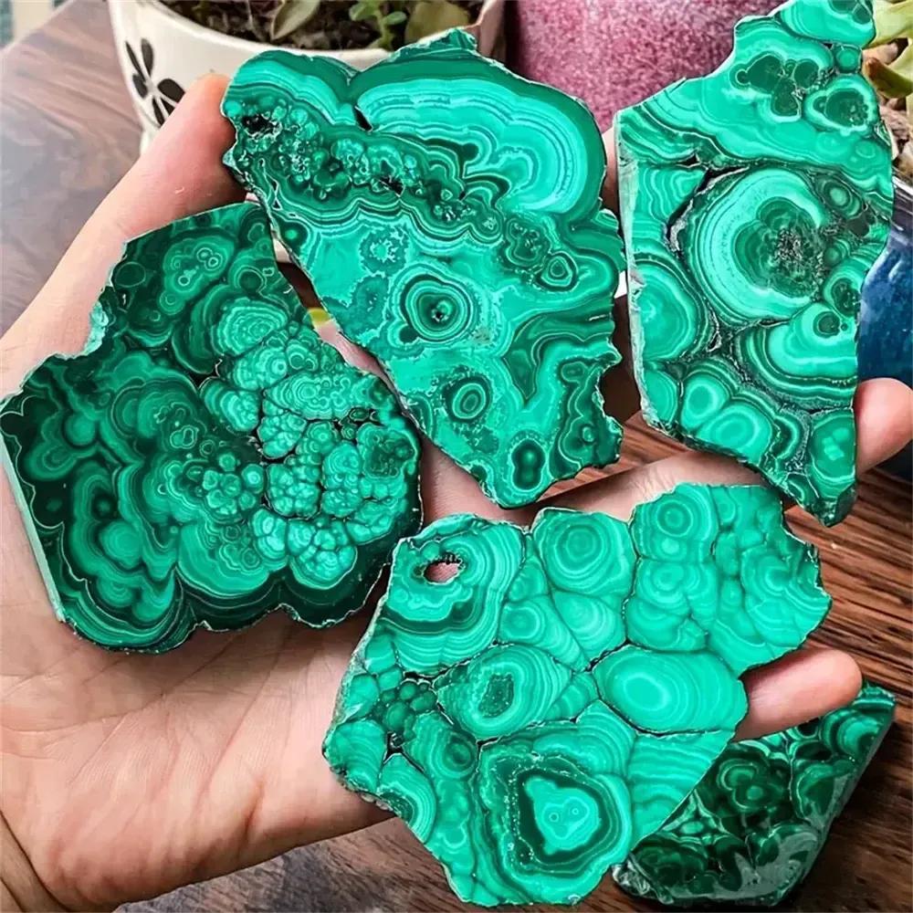 Hand holding multiple raw Malachite crystal slices with deep green concentric rings, from Crystal Destiny.