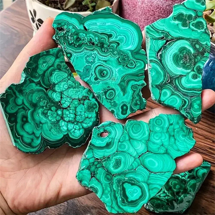 Hand holding multiple raw Malachite crystal slices with deep green concentric rings, from Crystal Destiny.